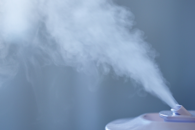 加湿　スチーム